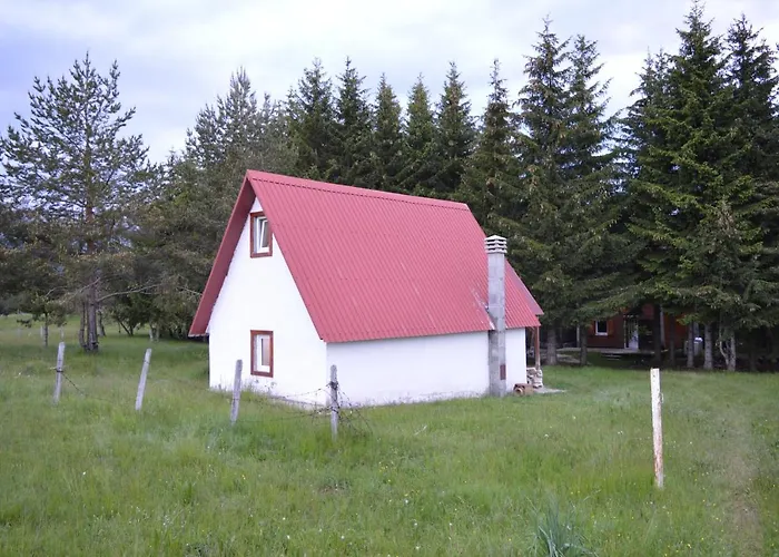 Forest Apartmani