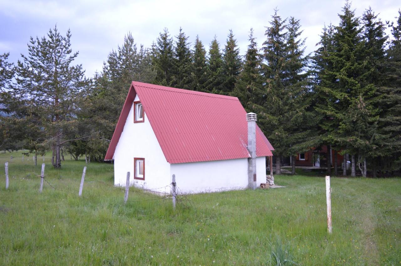 Vakantiehuis Forest